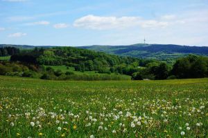 Reiterurlaub in Hessen Vogelsbergkreis