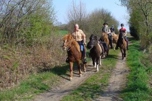 Urlaub mit Pferd Vogelsberg