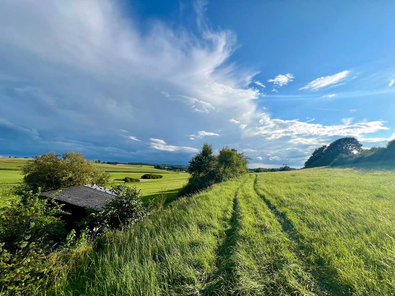 Bird Mountain Ranch Koppel Stall Natur