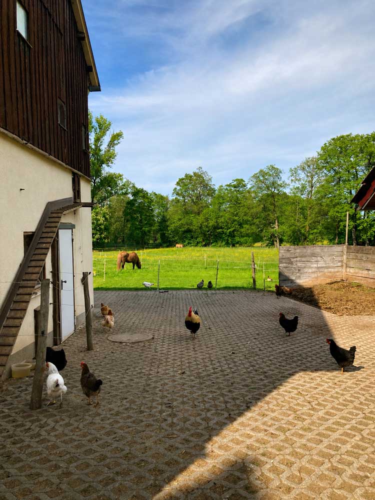 Miriam Kreim Ferienwohnung Garten Erholung Reitstation Grebenhain